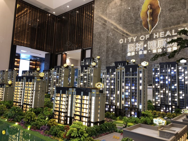 六安国祯健康城-沙盘图(37) - 六安安居客