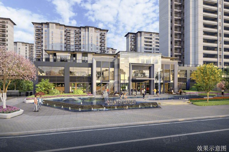 碧桂园珺尚府效果图