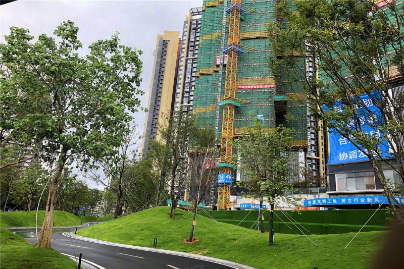 中城宴华府实景图