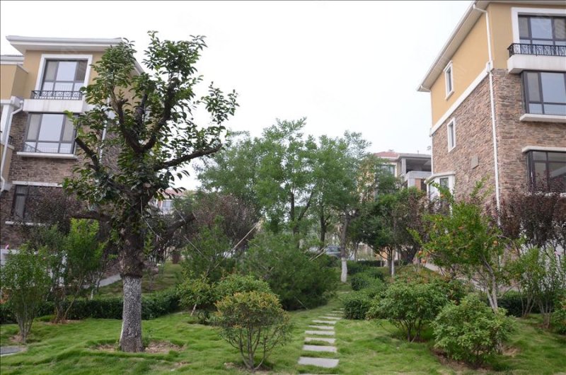 济南国华东方美郡-实景图(2) - 济南安居客