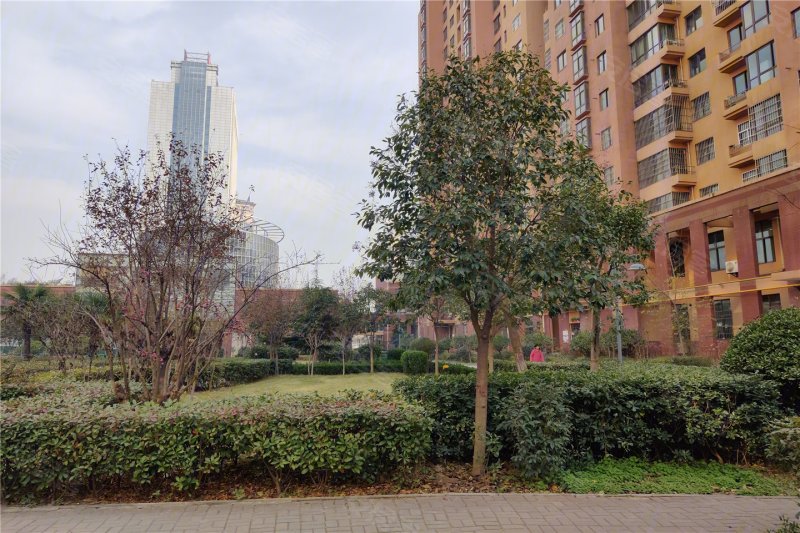 宝鸡滨河新城-实景图(13) - 宝鸡安居客