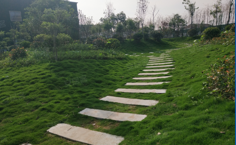 商丘楼盘 虞城县楼盘 尚城名都