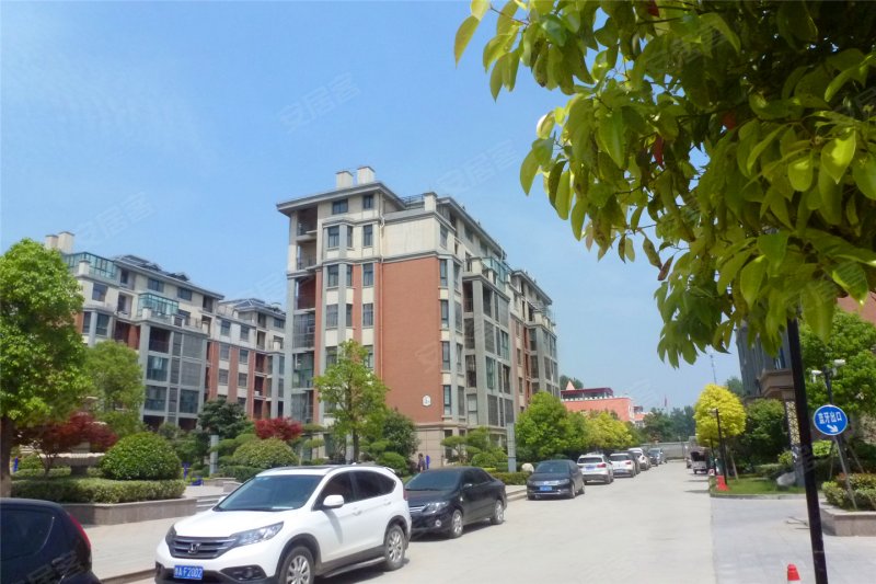 周口金域华庭-实景图(7) - 周口安居客