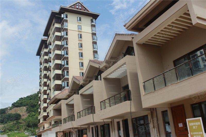 三亚海棠花开-实景图(32) - 三亚安居客