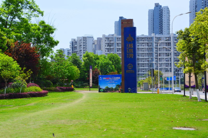 重慶鳳凰灣-實景圖(4) - 重慶安居客