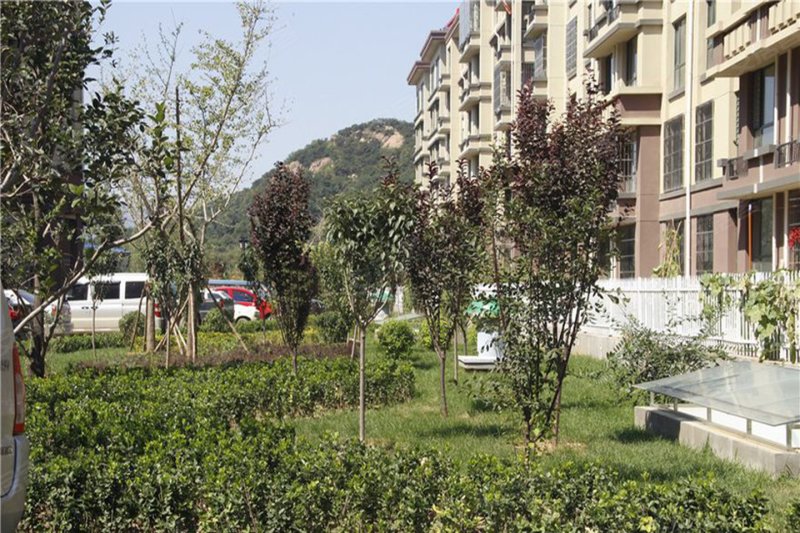 秦皇岛紫金湾·荣御-实景图(18) - 秦皇岛安居客