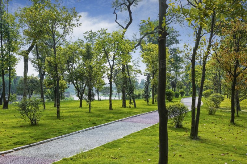 成都楼盘 双流楼盘 新双楠楼盘 蜀镇