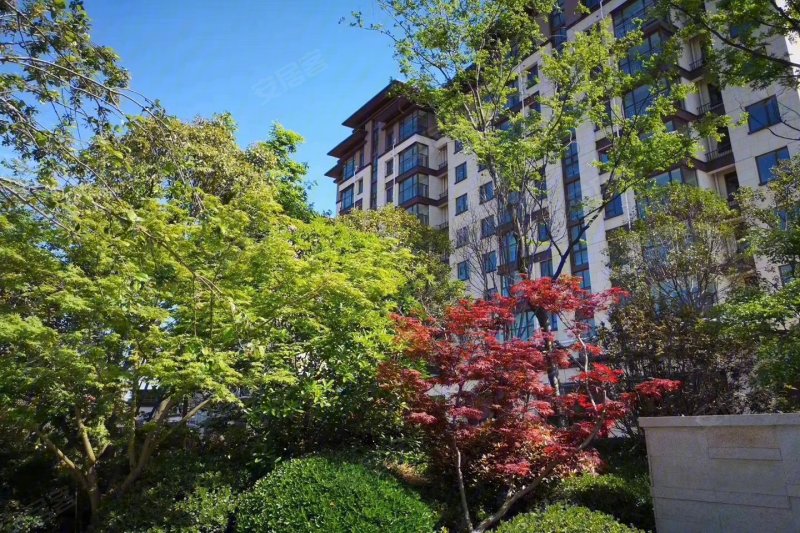 许昌建业北海森林半岛-实景图(4) - 许昌安居客