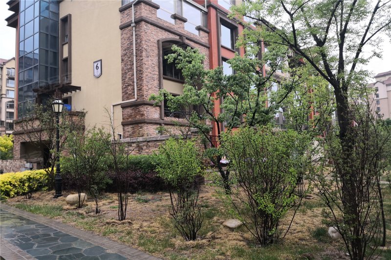 西宁萨尔斯堡-实景图(24) - 西宁安居客