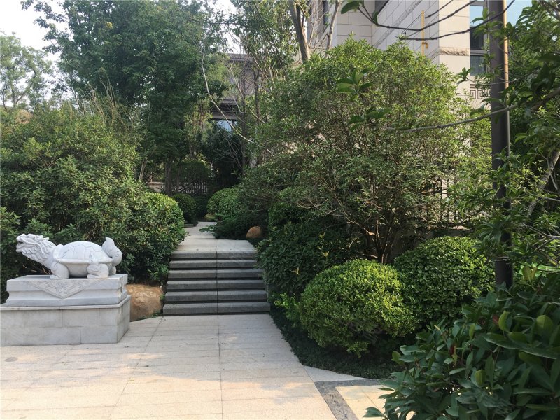 洛阳名门半山溪谷-实景图(13) - 洛阳安居客