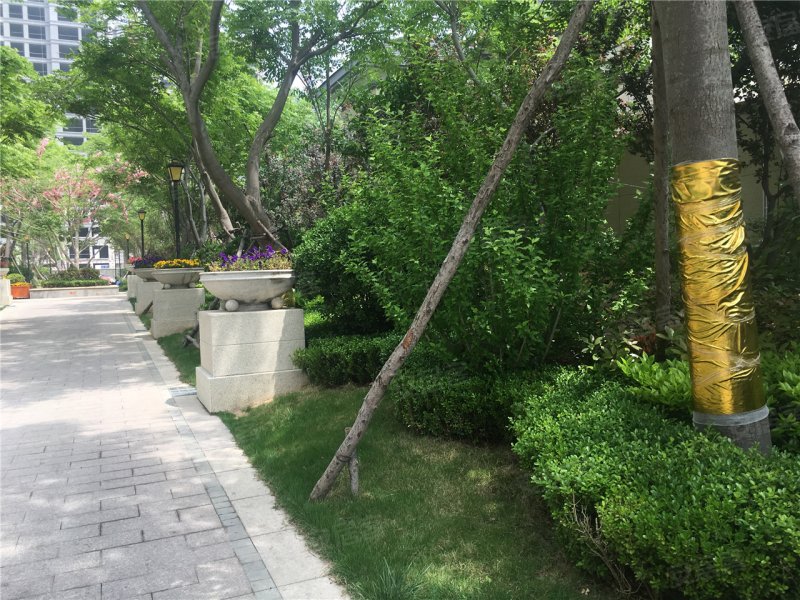 威海祥泰天泽府