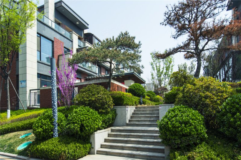 淄博楼盘 张店楼盘 张店区楼盘 紫园