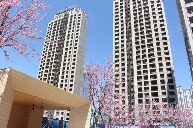 大连御东港-实景图(4) - 大连安居客