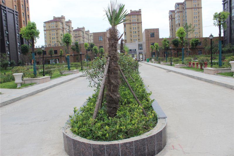 驻马店上海滩花园-实景图(24) - 驻马店安居客