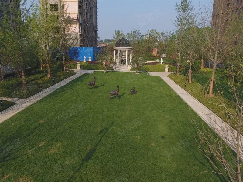 德州金辰公馆-实景图(7) - 德州安居客