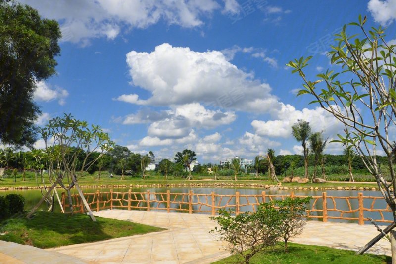 海口楼盘 定安楼盘 首创森林湖