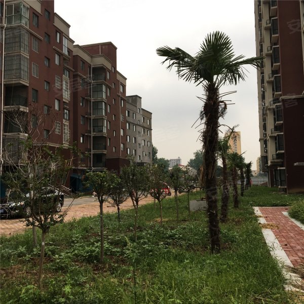 驻马店楼盘 上蔡县楼盘 森阳花园