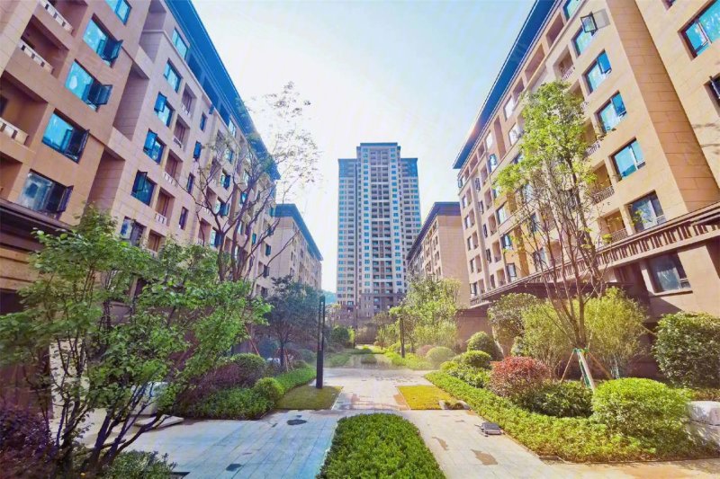 新城金樾府