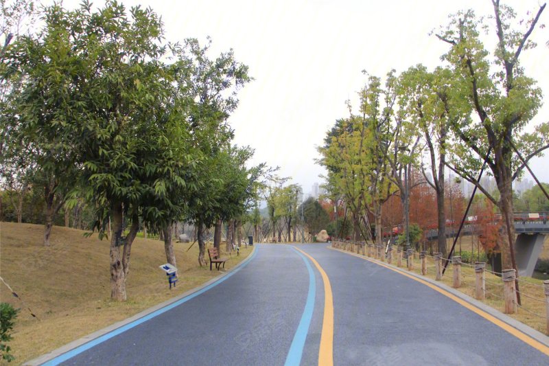 公园左岸配套图