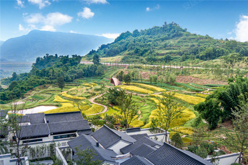 重慶藍城兩江田園牧歌-實景圖(6) - 重慶安居客