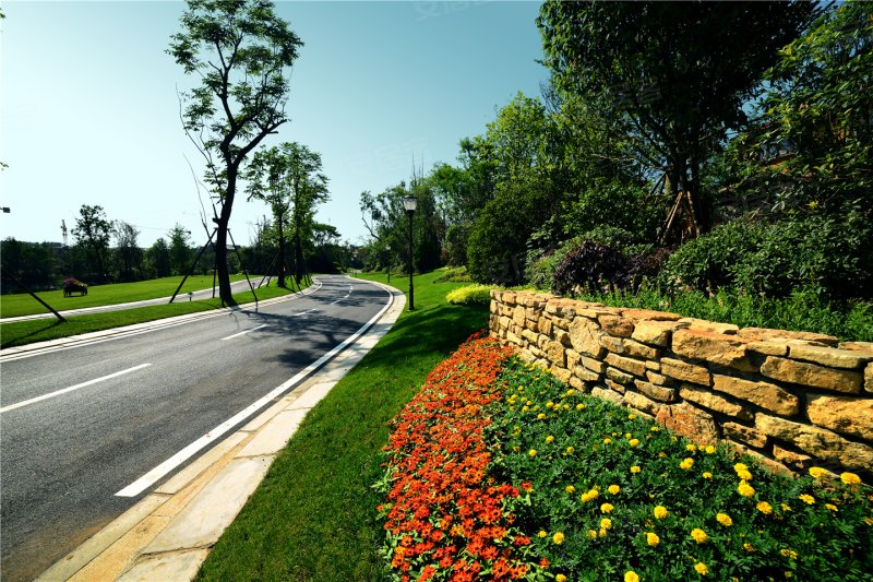 成都楼盘 天府新区楼盘 眉山楼盘 黄龙溪谷