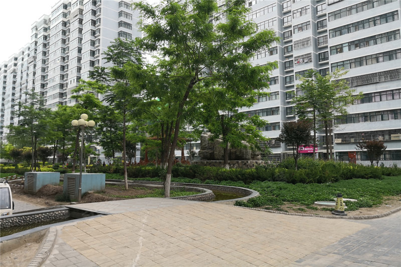 定西楼盘 陇西县楼盘 金泰润园