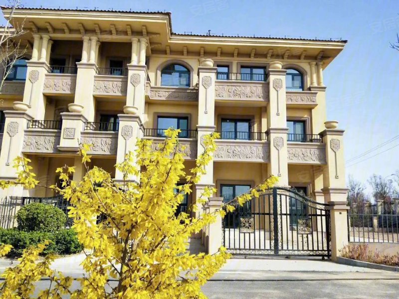 聊城金柱千岛山庄-效果图(20) - 聊城安居客