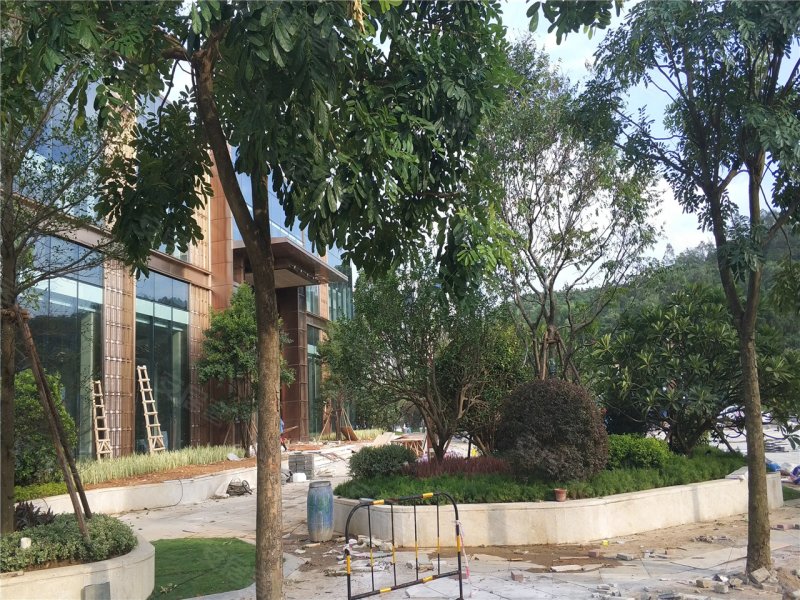 清远鼎峰尚境-实景图(17) - 清远安居客