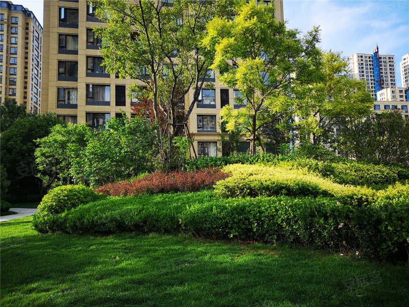 绿城百合新城丨锦兰园