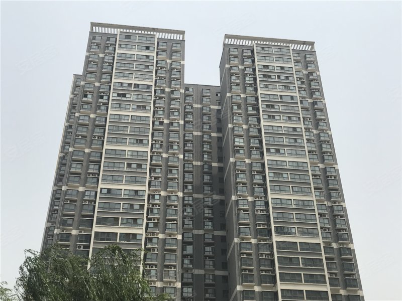 平顶山凯旋国际-实景图(23) - 平顶山安居客