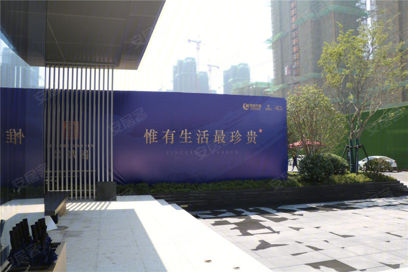 合肥绿城招商诚园-实景图(23 合肥安居客