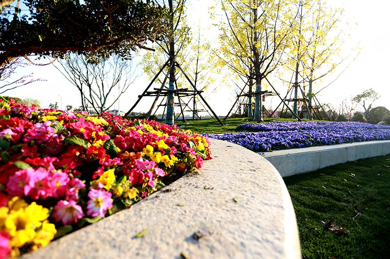 悦珑湾花园实景图