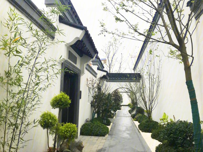 成都蜀道蓝城桃李春风-实景图(6) - 成都安居客