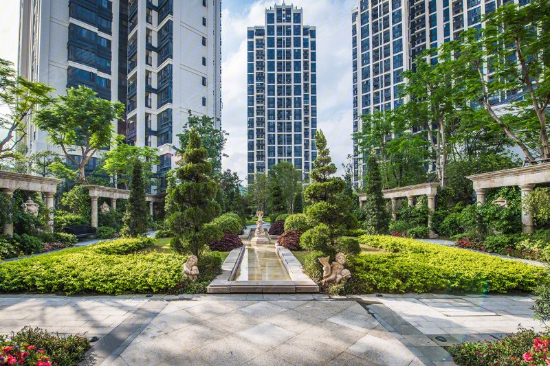 实地广州常春藤