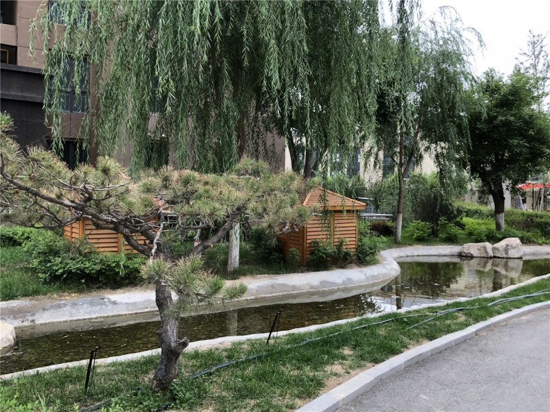 银川鸿曦悦海湾-实景图(9) - 银川安居客