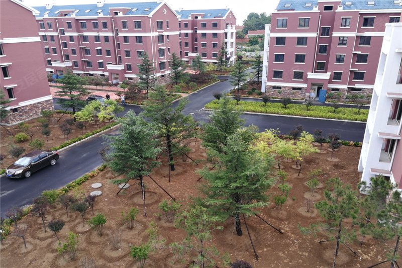 青岛金府花园-实景图(9) - 青岛安居客