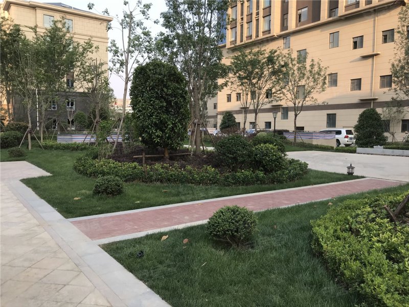 临沂楼盘 罗庄区楼盘 宝丽·悦府