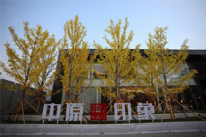 申泰中原印象实景图