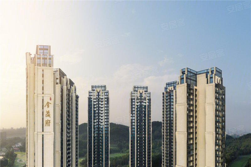 龙华金茂府