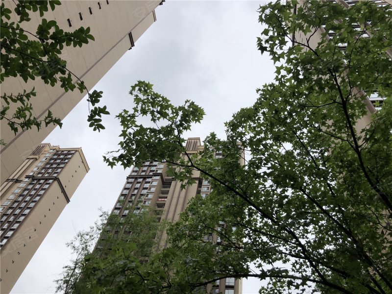 汉中汉水名城紫薇公馆-实景图(12) - 汉中安居客