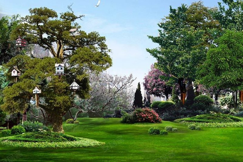 天朗蓝湖树效果图