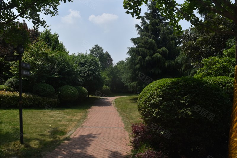 漯河泰威中央公园-实景图(35) - 漯河安居客