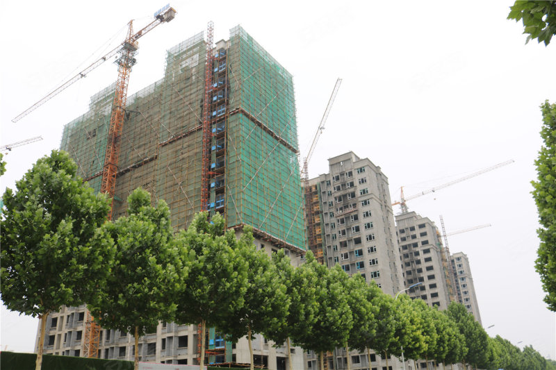 潍坊楼盘 寒亭楼盘 恒信温莎公馆