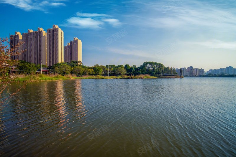 湖心岛1号花园一期