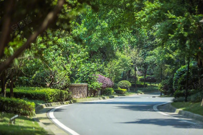 花样年大溪谷香溪岭