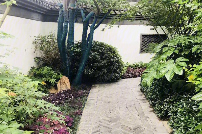 新蔡建业桂园