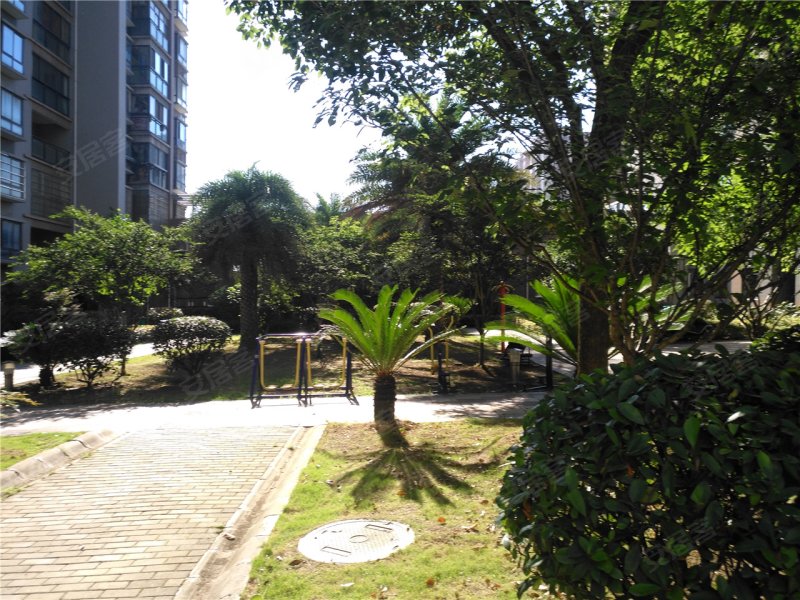 黄石大桥·一品园(三期)-实景图(29) - 黄石安居客