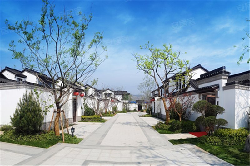 济南山东高速绿城雪野湖桃花源-实景图(9) - 济南安居客