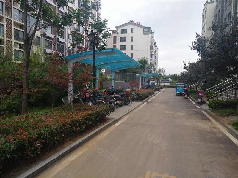 肥城紫荆城-实景图(20) - 肥城安居客