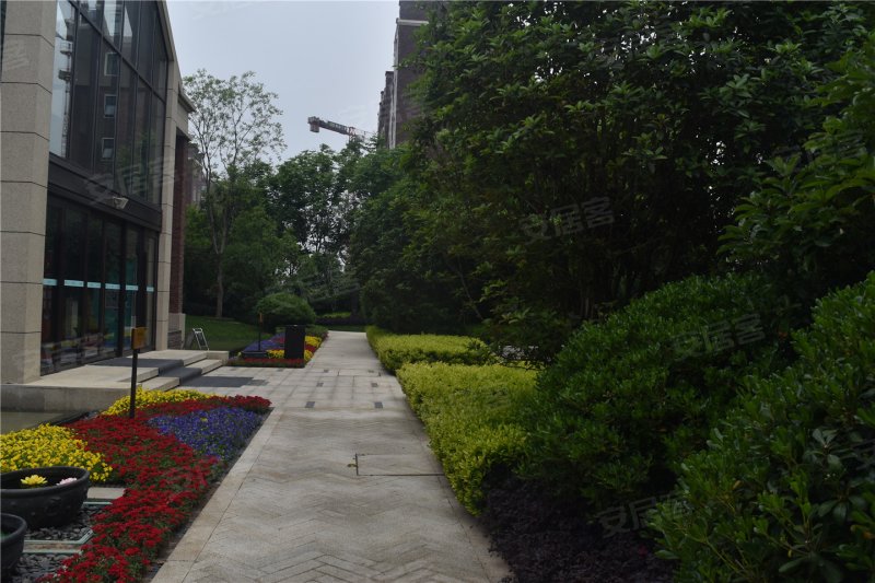 漯河西溪花园-实景图(58) - 漯河安居客